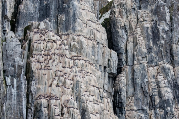 HDS05-26, Day 3, _6M32372 © Juan Martin Berenstein - Oceanwide Expeditions.jpg