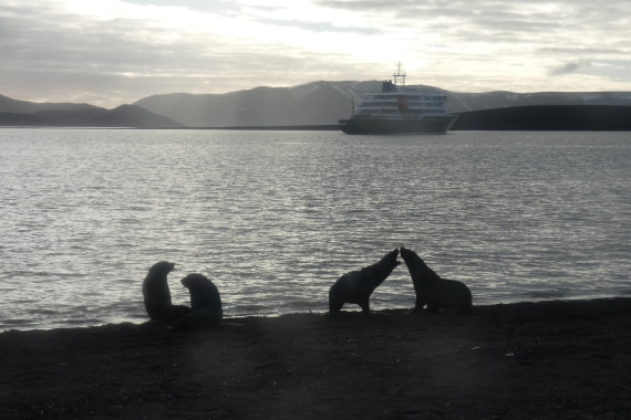 Silhouetten
