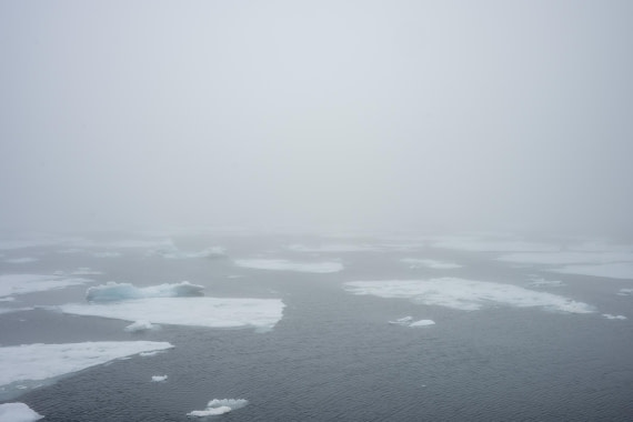 OTL06-26, Day 4, 2026.06.29II © Unknown photographer - Oceanwide Expeditions.jpg