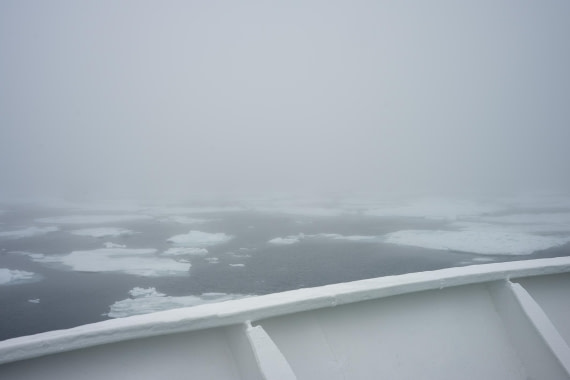 OTL06-26, Day 4, 2026.06.29IV © Unknown photographer - Oceanwide Expeditions.jpg