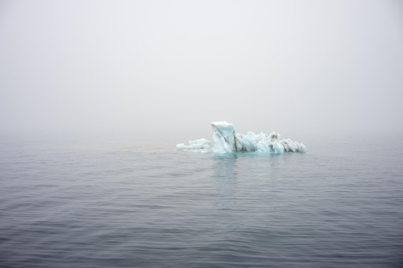 OTL06-26, Day 4, 2026.06.29IX © Unknown photographer - Oceanwide Expeditions.jpg