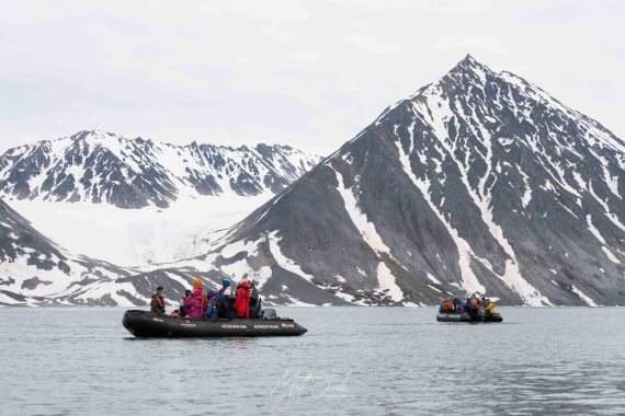 HDS06-26, Day 3, Gravneset, Gullybukta_MattCheok.2 © Matt Cheok - Oceanwide Expeditions.jpg