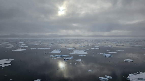 PLA06-26, Day 7, 20260704_221123 © Katrin Frosin - Oceanwide Expeditions.jpg