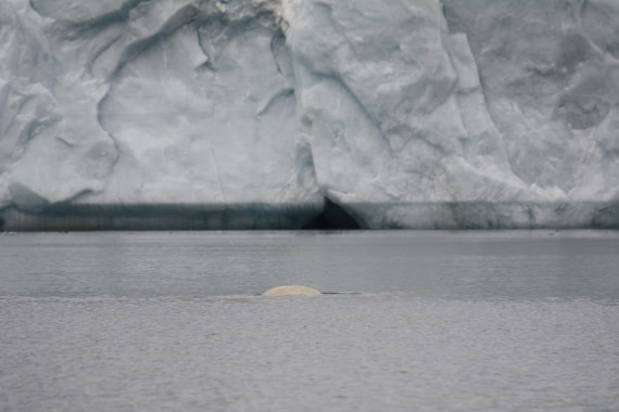 OTL07-26, Day 3, Marco_ (24).JPG © Marco Rosso - Oceanwide Expeditions.JPG