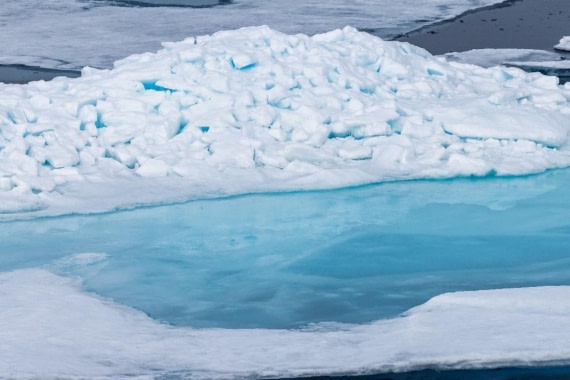 OTL07-26, Day 7, Picture9.jpg © Unknown Photographer - Oceanwide Expeditions.jpg