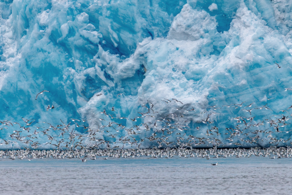 OTL07-26, Day 8, Picture15.png © Unknown Photographer - Oceanwide Expeditions.png