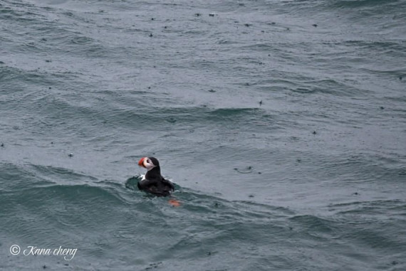 OTL08-26, Day 2, Picture3 © Kana Cheng - Oceanwide Expeditions.jpg