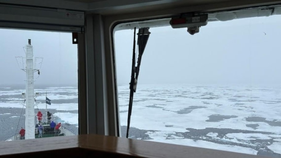 PLA08-26, Day 5, Picture15.jpg © Unknown Photographer - Oceanwide Expeditions.jpg