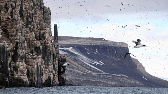 PLA08-26, Day 6, Picture19.jpg © Unknown Photographer - Oceanwide Expeditions.jpg