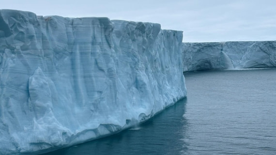 PLA08-26, Day 6, Picture22.jpg © Unknown Photographer - Oceanwide Expeditions.jpg