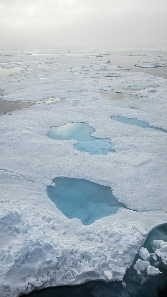 OTL09-26, Day 4, 20260724_193923 © Saskia van der Meij - Oceanwide Expeditions.jpg