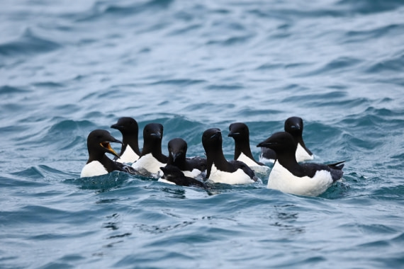 OTL09-26, Day 5, SAS_9889 © Saskia van der Meij - Oceanwide Expeditions.JPG