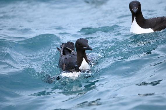 OTL09-26, Day 5, SAS_9902 © Saskia van der Meij - Oceanwide Expeditions.JPG