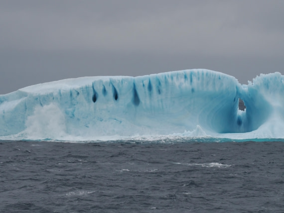 PLA10-26, Day 4, P8061459.JPG © Unknown Photographer - Oceanwide Expeditions.JPG