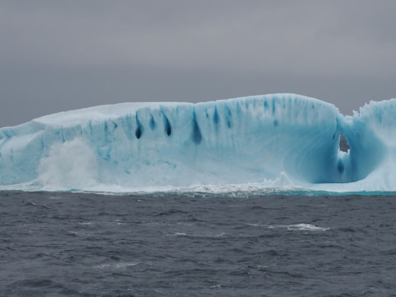 PLA10-26, Day 4, P8061460.JPG © Unknown Photographer - Oceanwide Expeditions.JPG