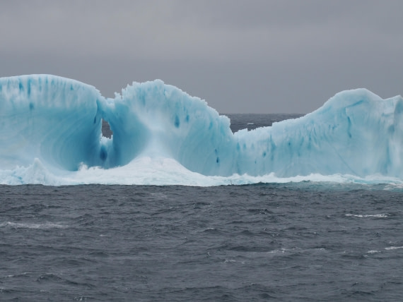 PLA10-26, Day 4, P8061462.JPG © Unknown Photographer - Oceanwide Expeditions.JPG