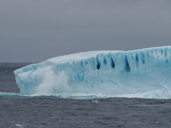 PLA10-26, Day 4, P8061465.JPG © Unknown Photographer - Oceanwide Expeditions.JPG