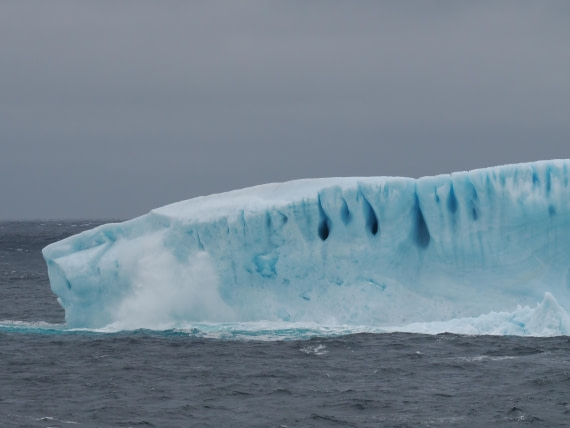 PLA10-26, Day 4, P8061466.JPG © Unknown Photographer - Oceanwide Expeditions.JPG