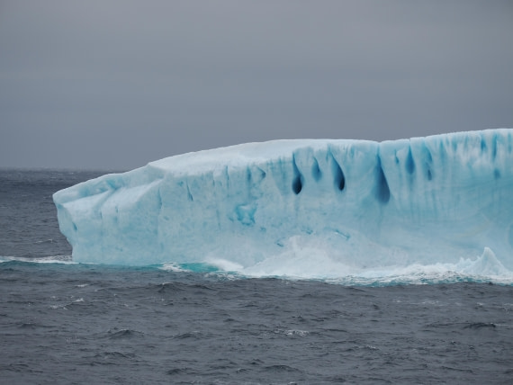 PLA10-26, Day 4, P8061468.JPG © Unknown Photographer - Oceanwide Expeditions.JPG