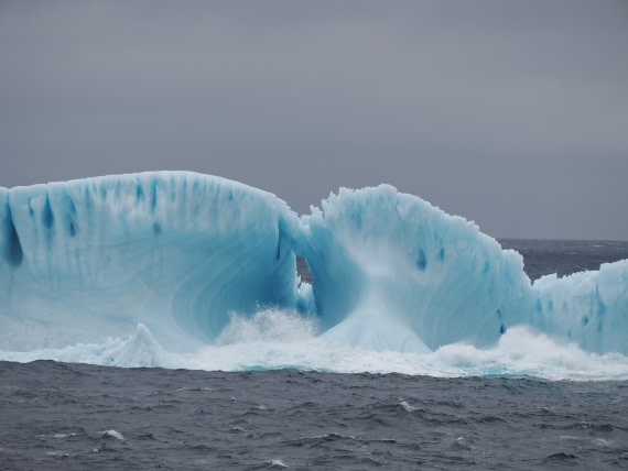 PLA10-26, Day 4, P8061470.JPG © Unknown Photographer - Oceanwide Expeditions.JPG