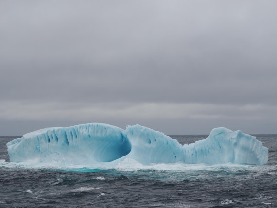 PLA10-26, Day 4, P8061473.JPG © Unknown Photographer - Oceanwide Expeditions.JPG