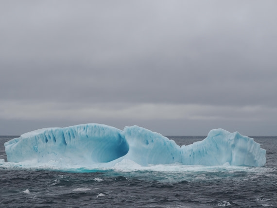 PLA10-26, Day 4, P8061474.JPG © Unknown Photographer - Oceanwide Expeditions.JPG