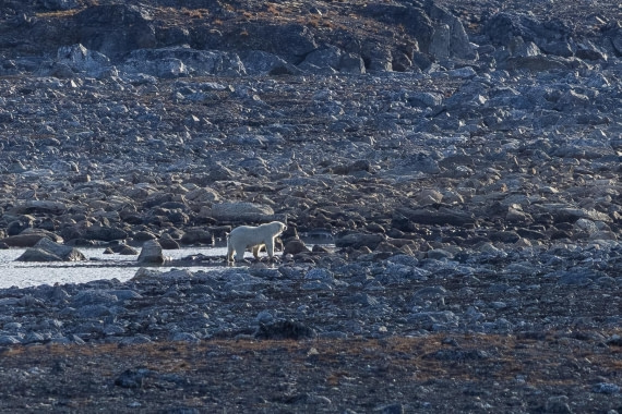 HDS10-26, Day 2, 5D5A5525.jpg © Koen Jongerling - Oceanwide Expeditions.jpg