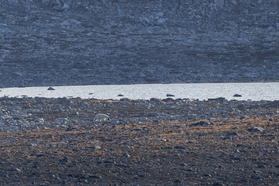 HDS10-26, Day 2, 5D5A5533.jpg © Koen Jongerling - Oceanwide Expeditions.jpg