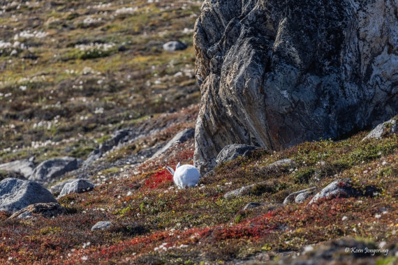HDS11-26, Day 5, 5D5A7054.jpg © Unknown Photographer - Oceanwide Expeditions.jpg