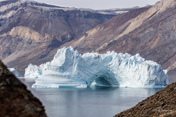 HDS11-26, Day 6, 5D5A7279.jpg © Unknown Photographer - Oceanwide Expeditions.jpg