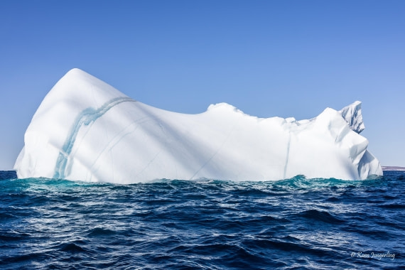 HDS11-26, Day 7, 5D5A7506.jpg © Unknown Photographer - Oceanwide Expeditions.jpg