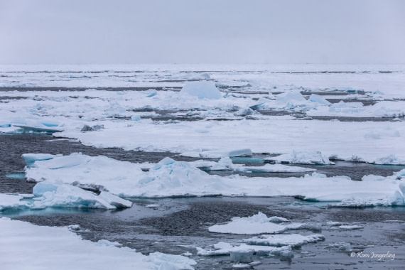 HDS11-26, Day 11, 5D5A7786.jpg © Unknown Photographer - Oceanwide Expeditions.jpg