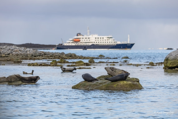 HDS11-26, Day 12, 5D5A7939.jpg © Unknown Photographer - Oceanwide Expeditions.jpg