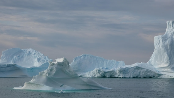 fascination of ice