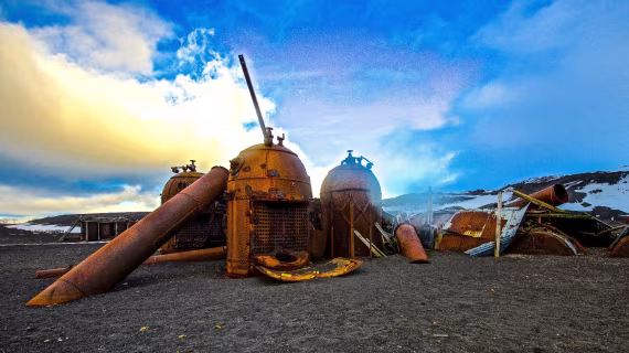 2025_OEX_Site_All_Antarctic_TripPage-Headers_PLA28-26 © Ross Wheeler - Oceanwide Expeditions.jpg