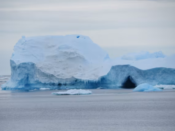 2025_OEX_Site_All_Antarctic_TripPage-Headers_OTL31a26 © Alexandra den Dikken - Oceanwide Expeditions.jpg