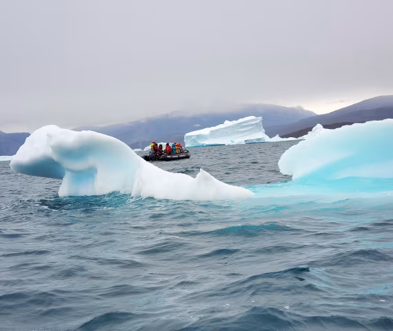 Zodiac among the icebergs