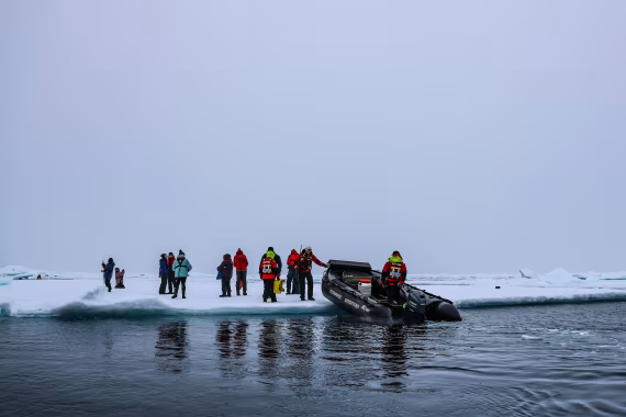 Walk on... pack ice