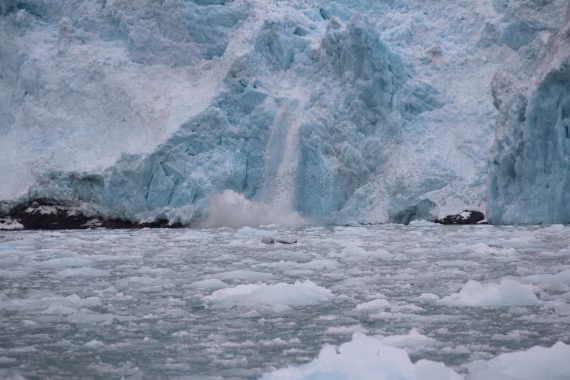 Calving Glacier with Arctic Birds – Monacobreen (#1)