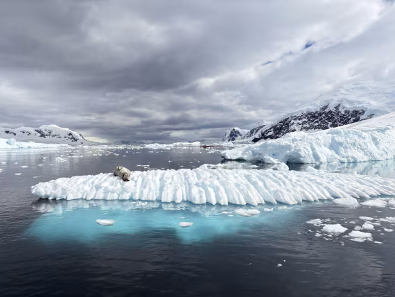 Antarctic Sculptures #3