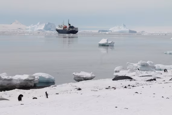 Antarctic Sound view from Brown Bluff