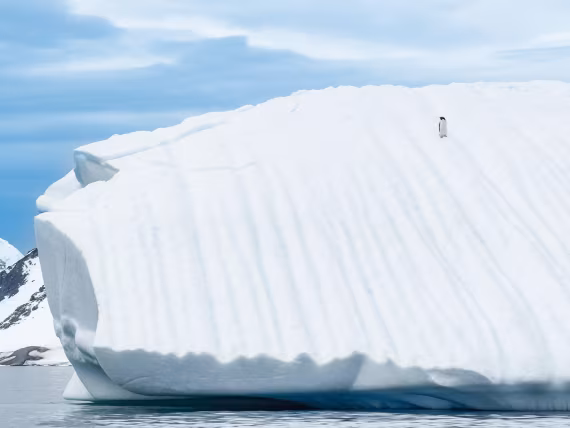 A Moment of Solitude