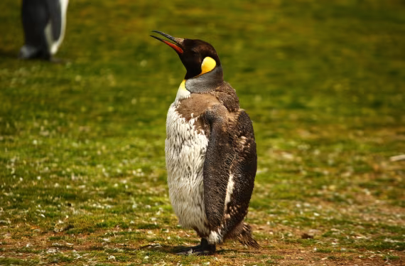 Time for new clothes