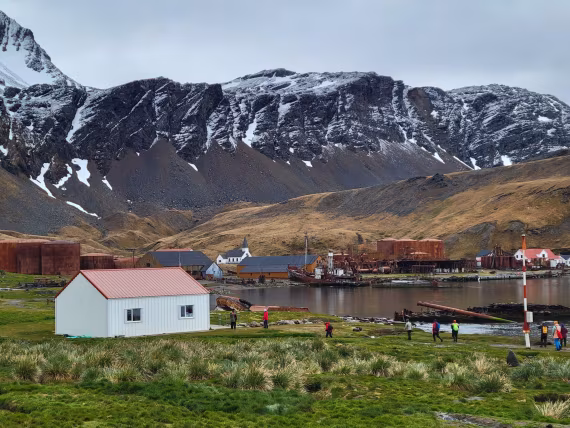 We don't own the planet earth, we belong to it. Don't hurt any whales anymore! @Grytviken
