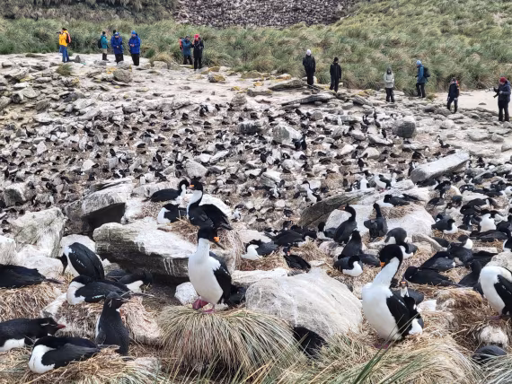 Are you ready to pair up with your "Avatar mountain banshee"?  @ New Island