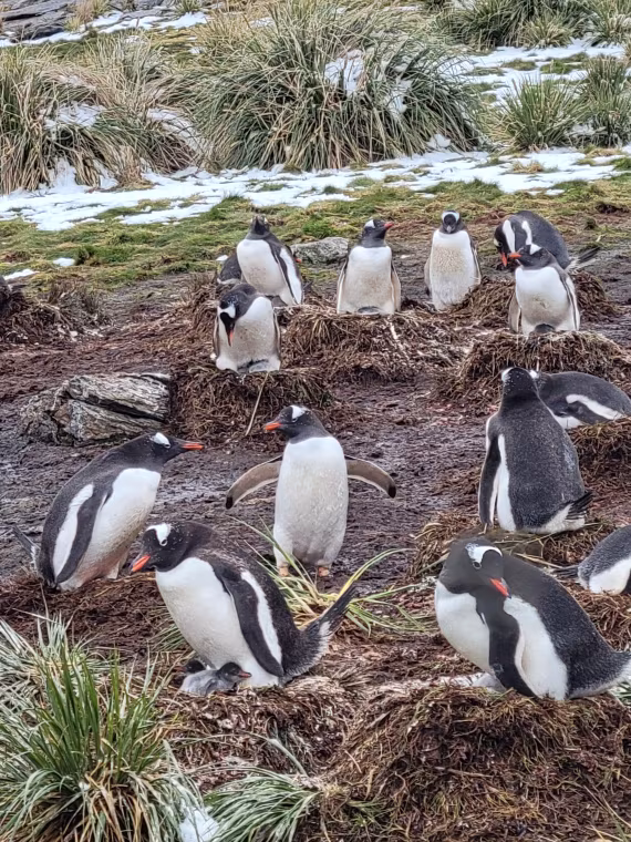 Overcrowded housing looms@ Godthul