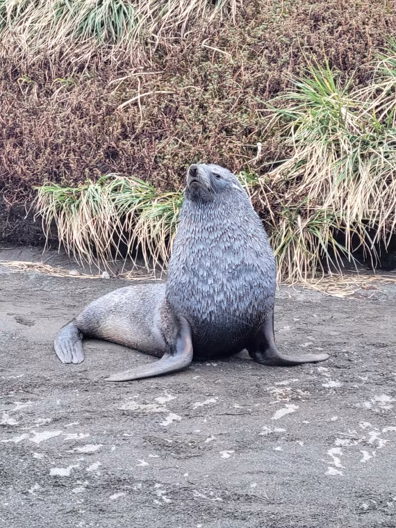 Sorry, you are a loser.... pls don't pretend like a winner, haha