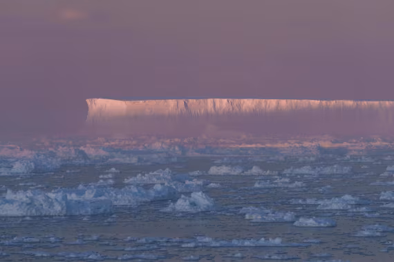 Pink Iceberg