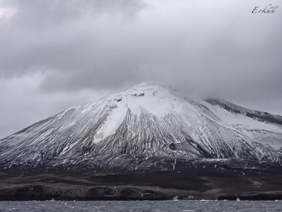 Day 8: Zavadovski Island, South Sandwich Islands