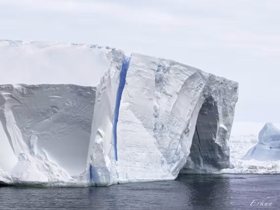 Day 13: In the Pack Ice